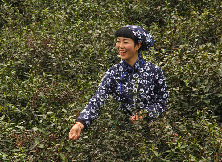 95网主播 霓虹低语